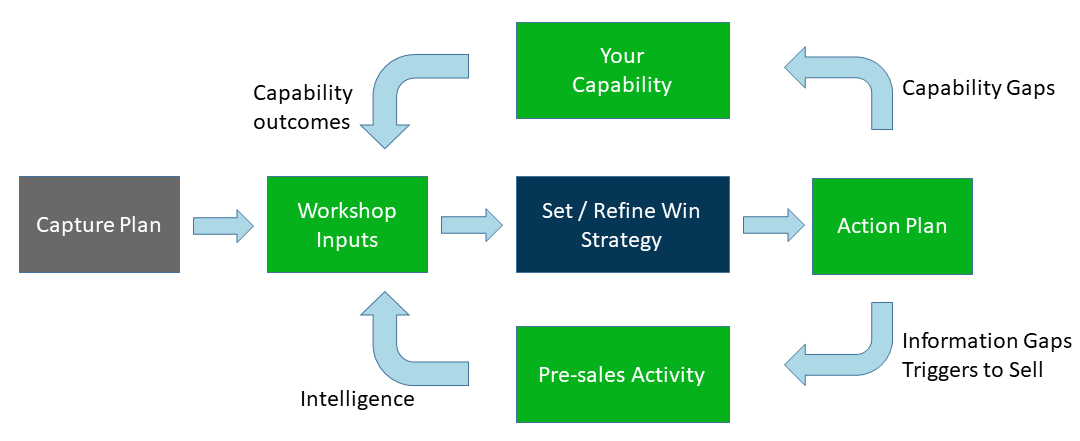 Stuart McMillan Tendering Win Strategy Expert Win Strategy Flow Diagram
